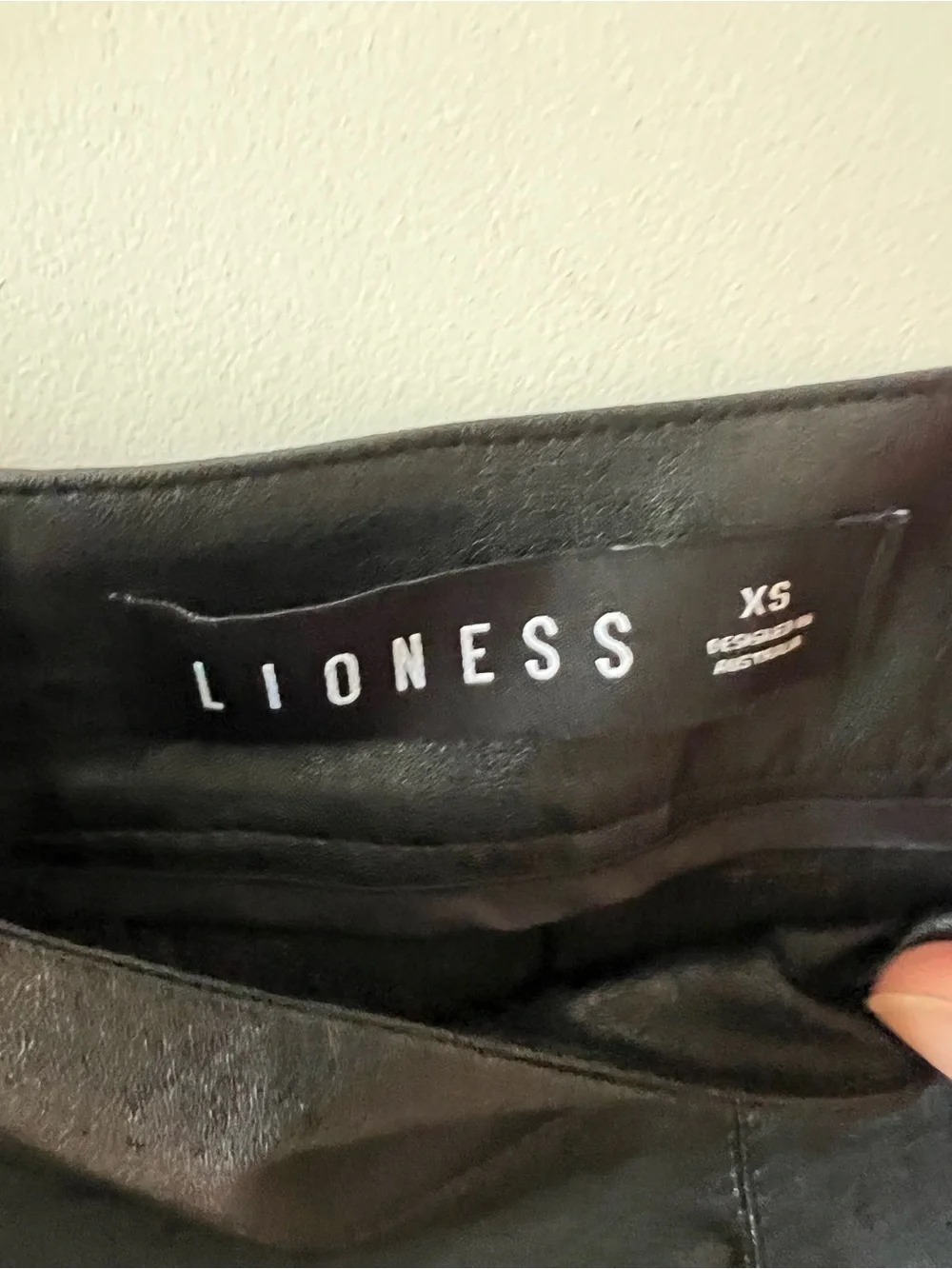 Lioness 